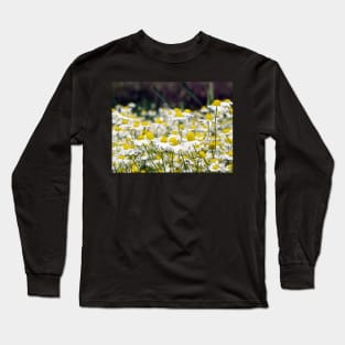 Mayweed Long Sleeve T-Shirt